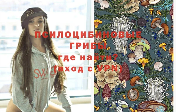 прущий лед Белокуриха